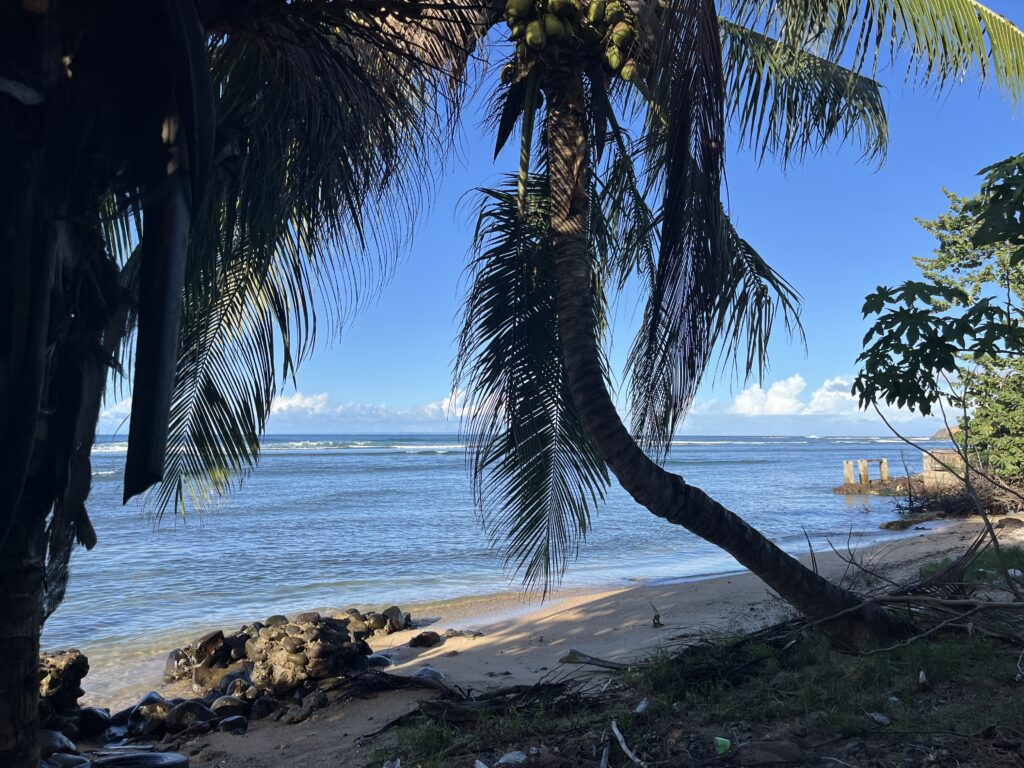 Segeln Karibik - Meilentörn - Dominikansiche Republik - Curaçao