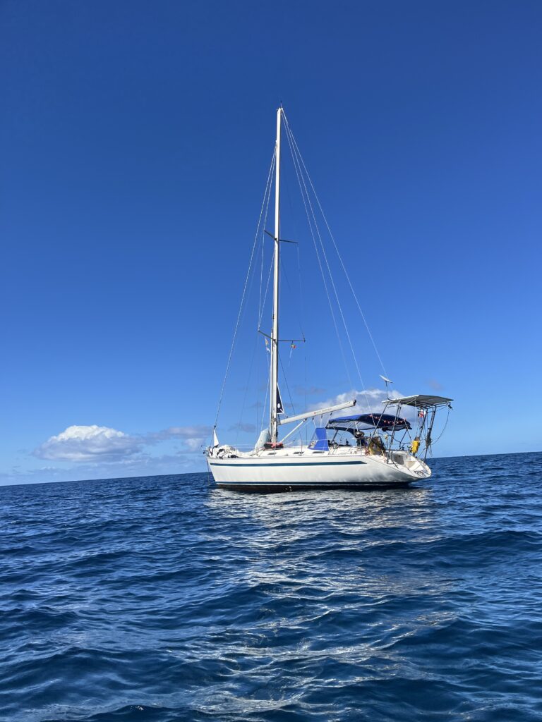 günstige Segeltörn - Meilentörn - Skippertraining Segeln
